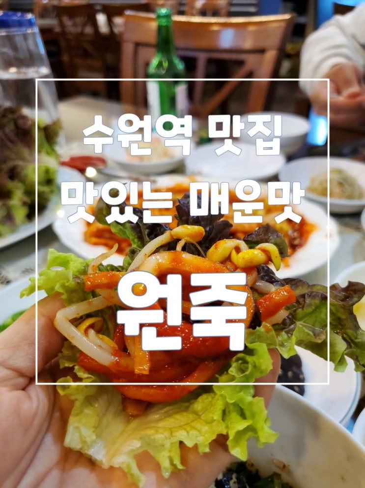 수원역 맛집 원죽 계속 생각나는 매운 오징어보쌈