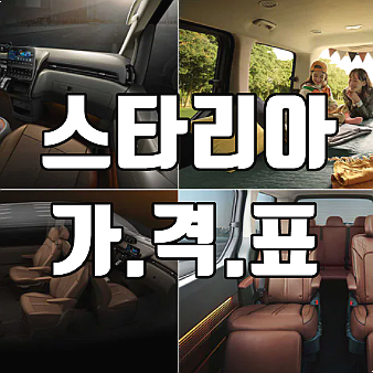  현대 스타리아 가격표 및 최저가 이용방법 (색상/자동차세 정보)