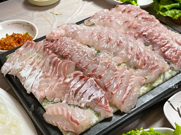  고흥 녹동 맛집 횟집추천 '삼보횟집'