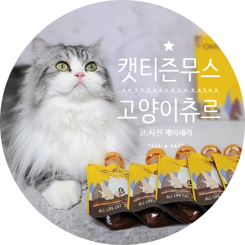 캣티즌 무스- 수분 보충을 위한 고양이 간식, 츄르 추천해요 ( 고양이 습식 에 최고봉 )