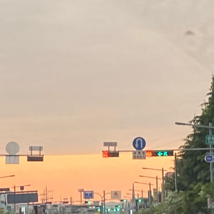  뒤죽박죽 천방지축 얼렁뚱땅 나의 일상 (셀프눈썹탈색/굽네치킨/고추바사삭/볼케이노피자/하루앤소쿠/김치카츠나베/찐빵/일차돌)