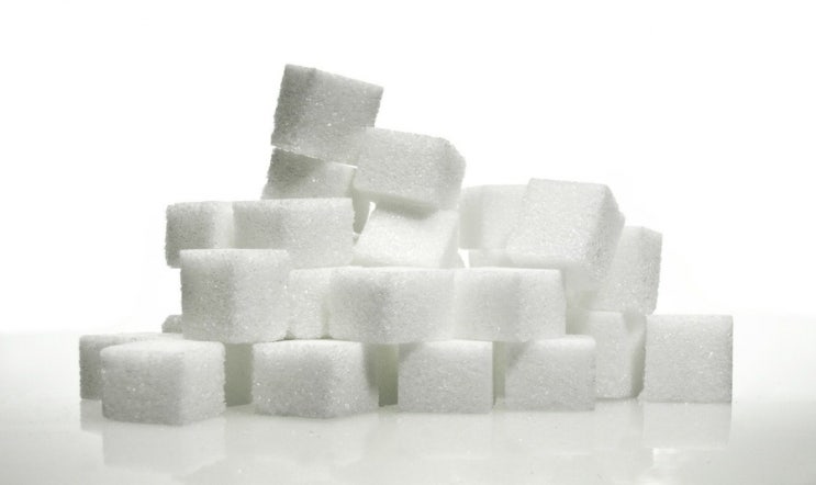 다이어트의 적 설탕, 대체품은 괜찮을까?