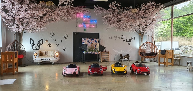  하남 애견카페 멍슈슈