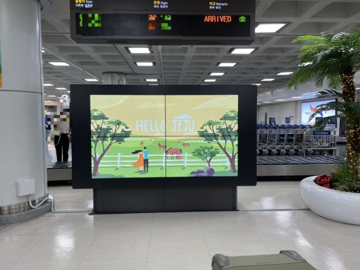  [여행일기] 4월말 5월초 제주도 / 새벽 비행기 / 공항에서 택시 타기