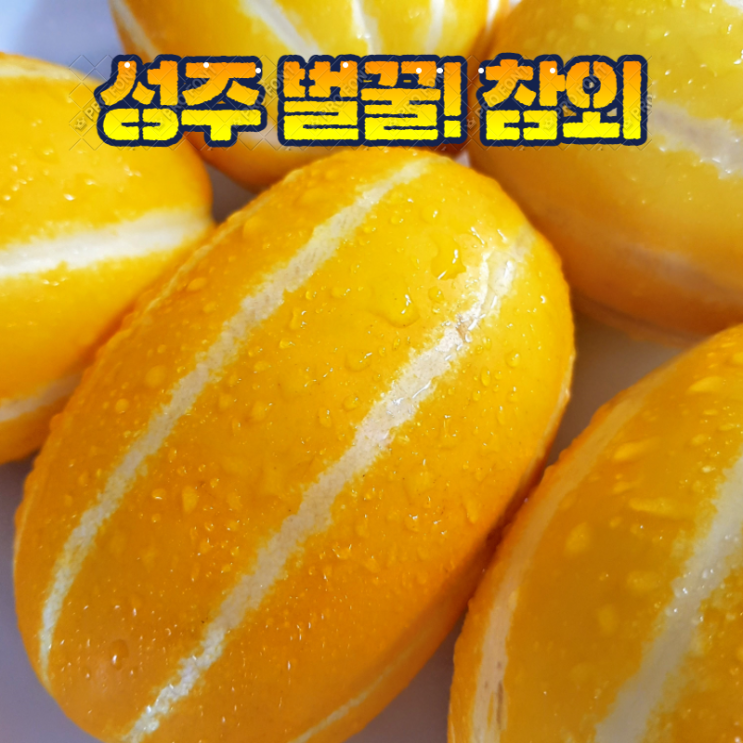  리뷰가 좋은 훈이네 성주참외 당도선별 이것이꿀인가!참외인가!맛이좋아 성주참외 참외정품, 1박스, 7).꿀참외 10kg소과 추천해요