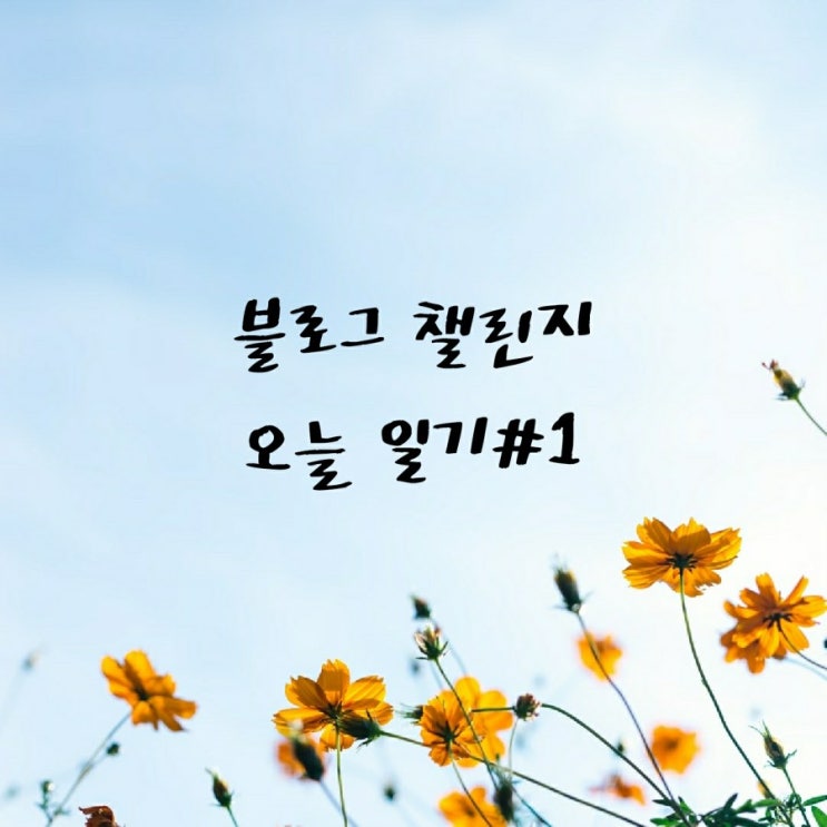  오늘일기 DAY1, 바쁜 주말