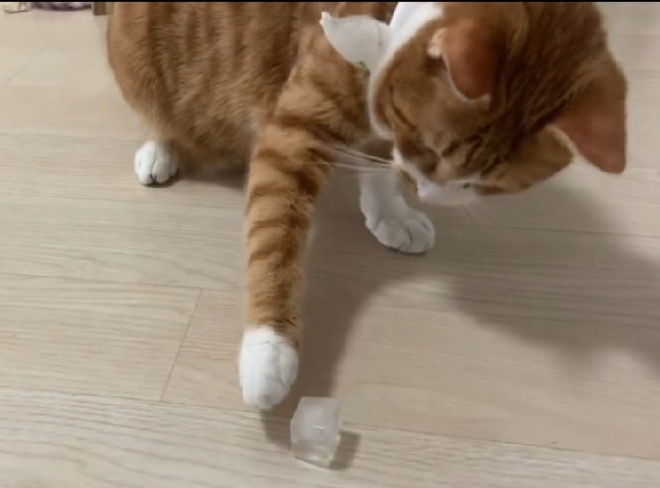  5.1.오늘의일기