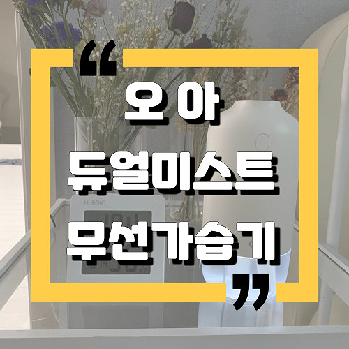  [내돈내산솔직후기]：OA오아 듀얼미스트 무선가습기：