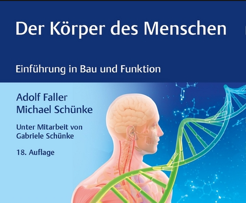  [독어단어장] Body/der Körper/몸 - People/die Menschen/사람들