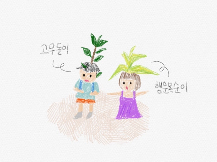 원예 : 나의 자랑거리 9살 고무나무와 행운목