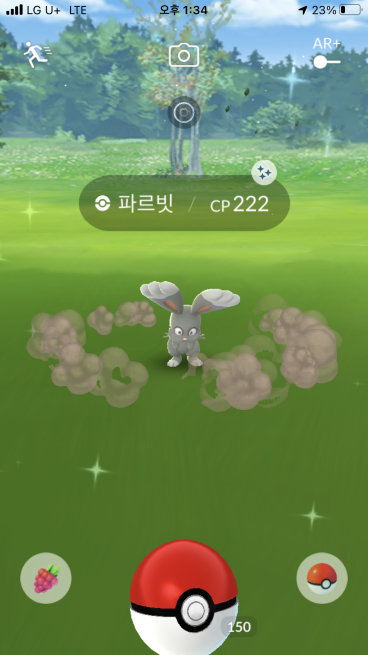  파르빗, 파르토 이로치