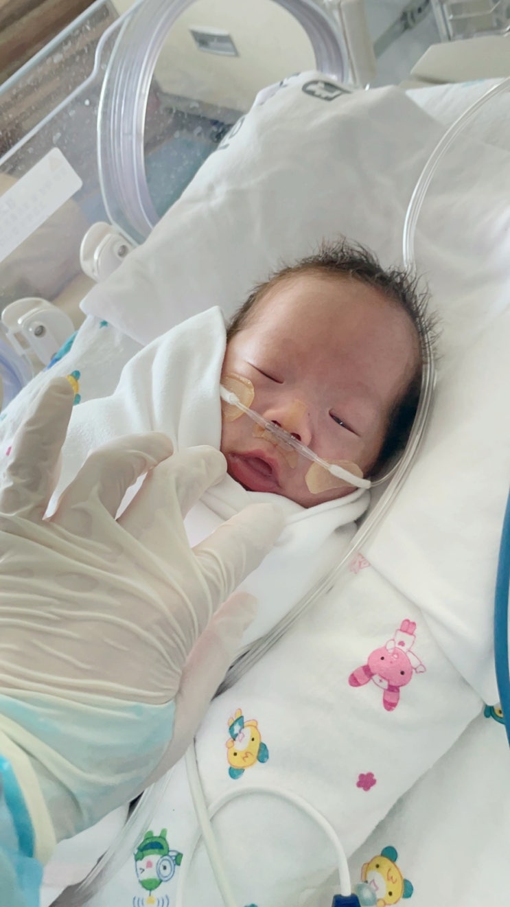  nicu 퇴원, 2주간 육아 그리고 재입원 (신생아 폐동맥 고혈압)