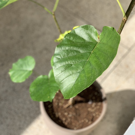  엄마 6살 한글배우기