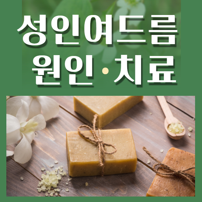  성인여드름 원인 치료 관리 방법 건강한 피부관리
