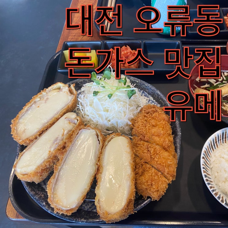  대전 오류동 일본식 돈가스 맛집 유메