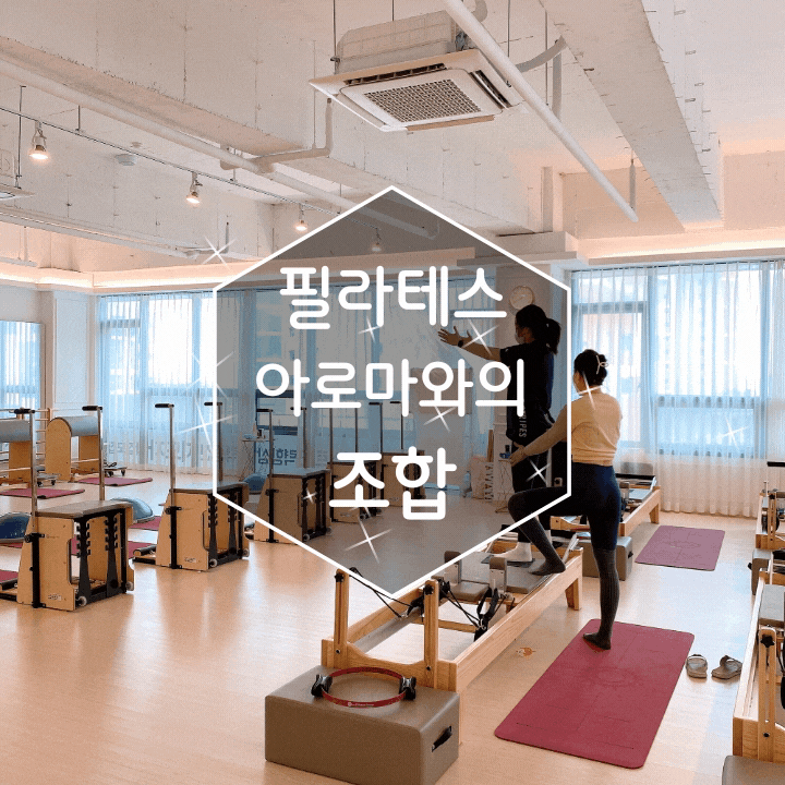 배곧필라테스 유연하게 단련하기