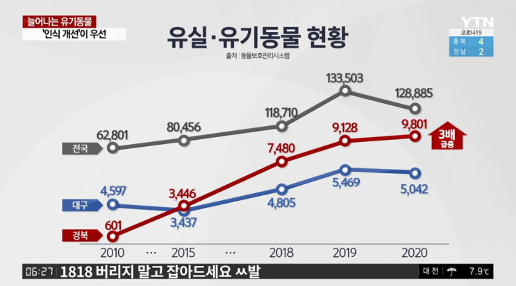늘어나는 유기동물 늘어나는 유기동물