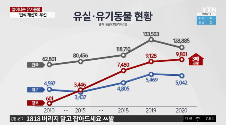 늘어나는 유기동물