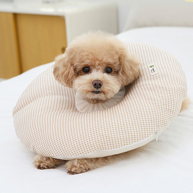 인지도 있는 리토가토 오가닉 쿠션 강아지 넥카라 와플 L, 1개 좋아요 인지도 있는 리토가토 오가닉 쿠션 강아지 넥카라 와플 L, 1개 좋아요