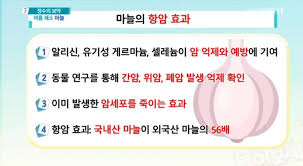  흑마늘효능 생마늘비교복용 냄새:암예방 정력증가 피로회복 체력스테미나 아토피피부염 당뇨
