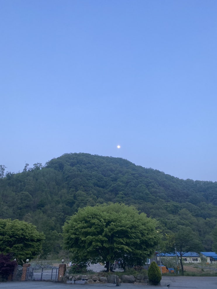  네이버 블챌 오늘일기 도전