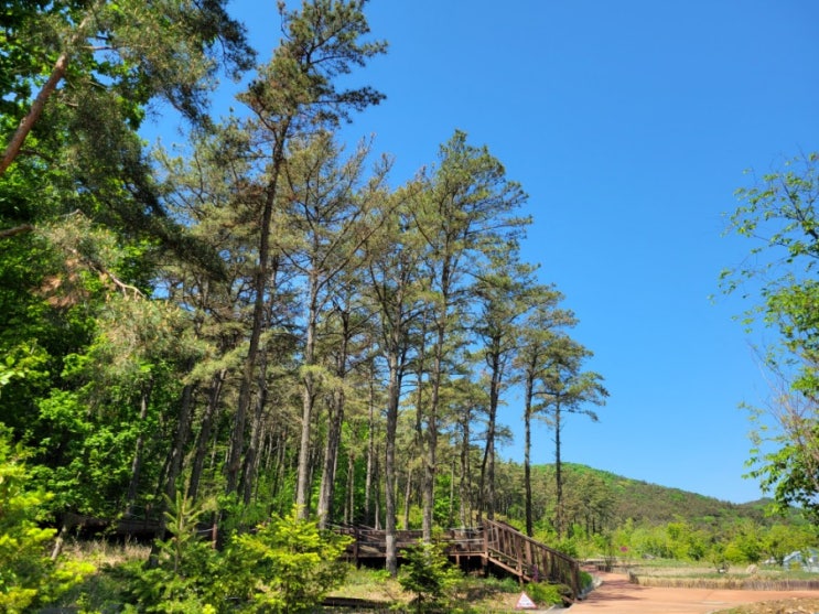  [2021.05.02] 안산 대부도여행