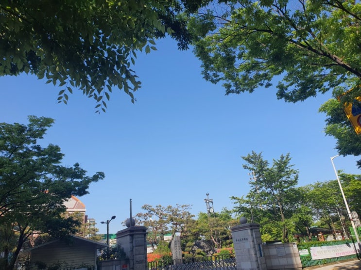  날씨 좋다_오늘