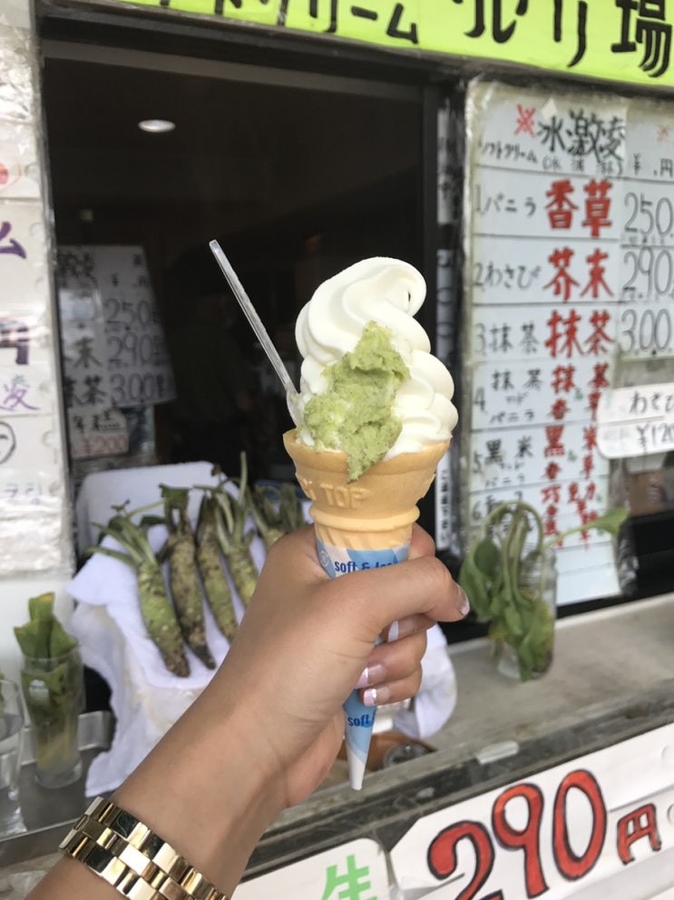 일본 시즈오카여행 와사비아이스크림