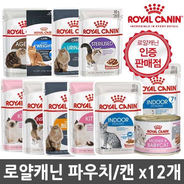 선호도 높은 로얄캐닌 고양이사료 습식 파우치 85g x12개, 키튼 파우치 85gx12 추천해요 선호도 높은 로얄캐닌 고양이사료 습식 파우치 85g x12개, 키튼 파우치 85gx12 추천해요