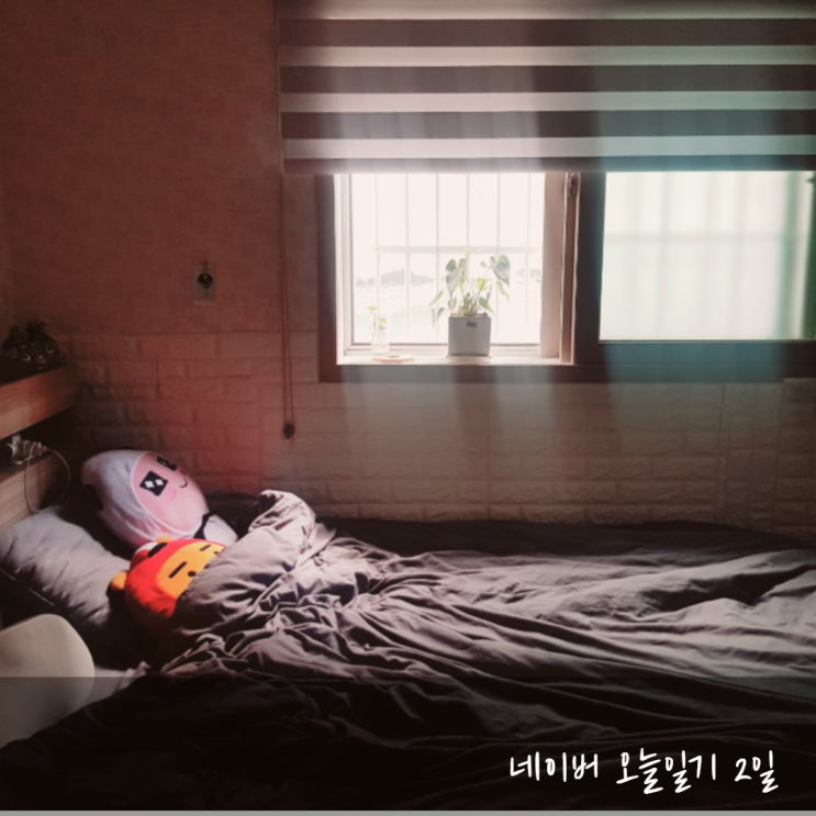  네이버 매일매일 챌린지 2일차