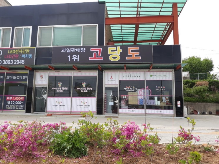  5월 1일 고당도 남사 간판 확정