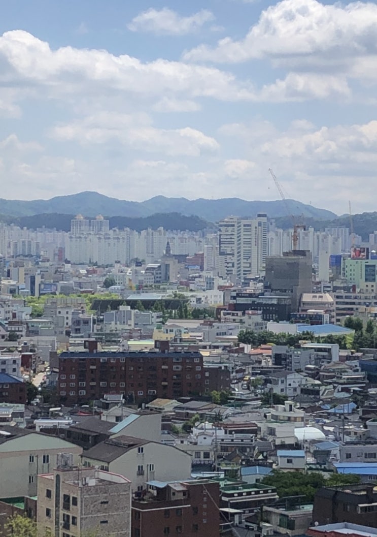  5월 2일 일기 - 갖고 싶다 너의 재능
