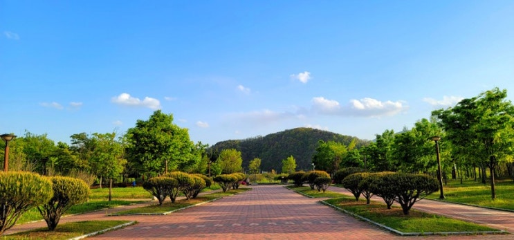  대구 명소 데이트코스, 율하체육공원(박주영 축구장, 테니스장, 자전거, 잔디광장)