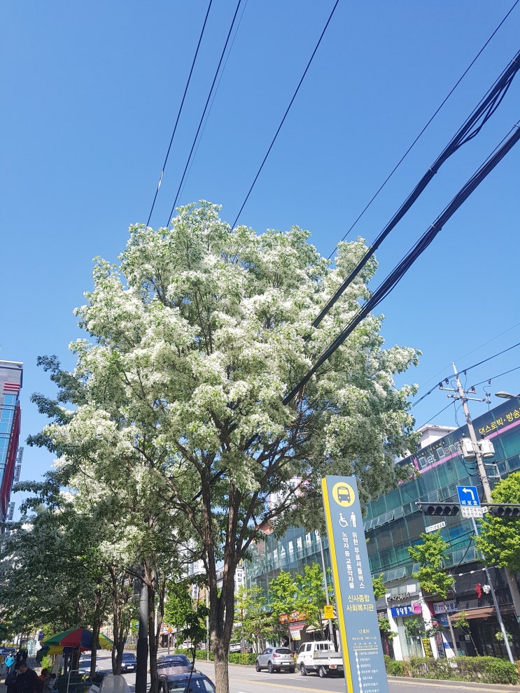  0502 with수&런데이