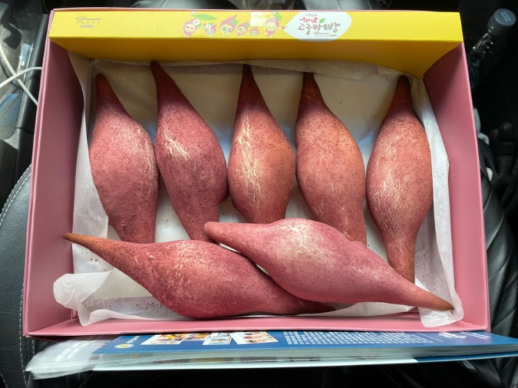 해남 고구마빵 유명한 피낭시에 방문했어요 해남 고구마빵 유명한 피낭시에 방문했어요