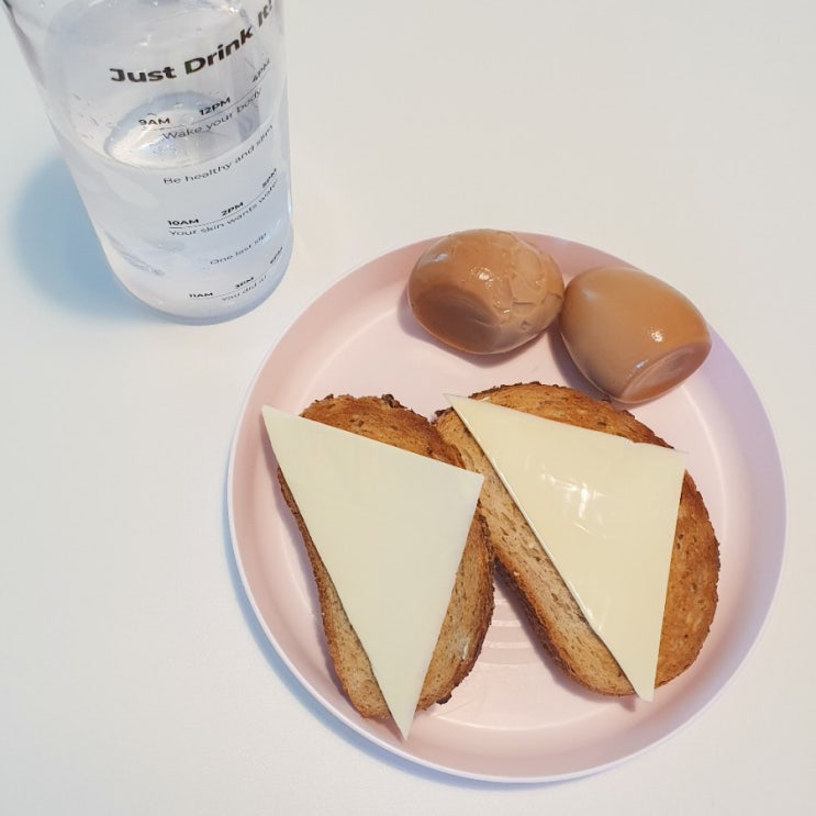  다이어트 20일차 운동 식단 기록(치팅데이)