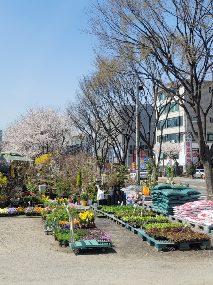  일일일기2/14