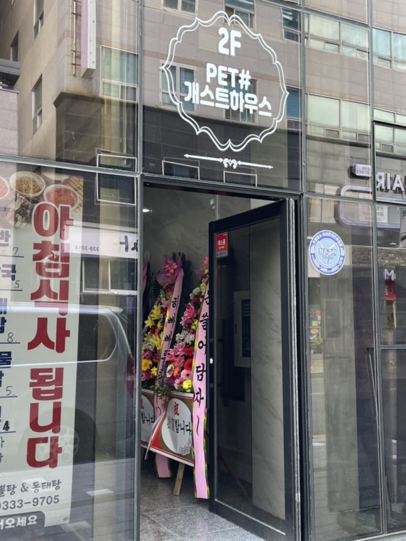사진 4