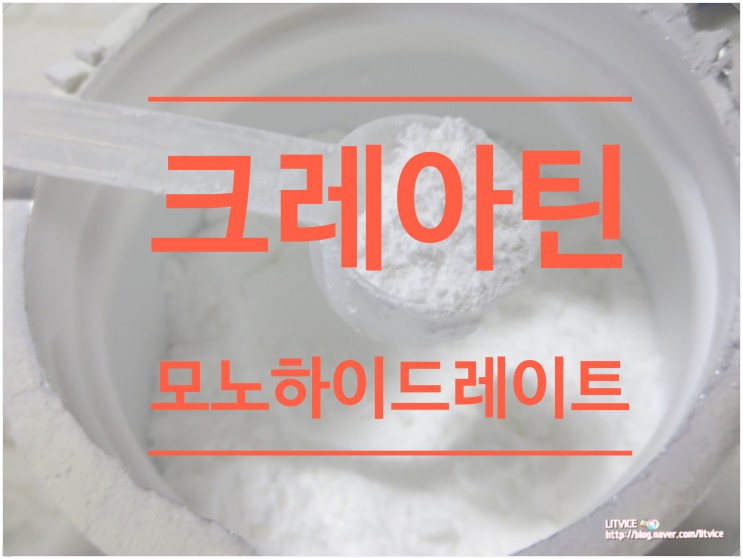 단백질보충제 크레아틴 모노하이드레이트 파우더 무맛 뉴트리코스트 후기