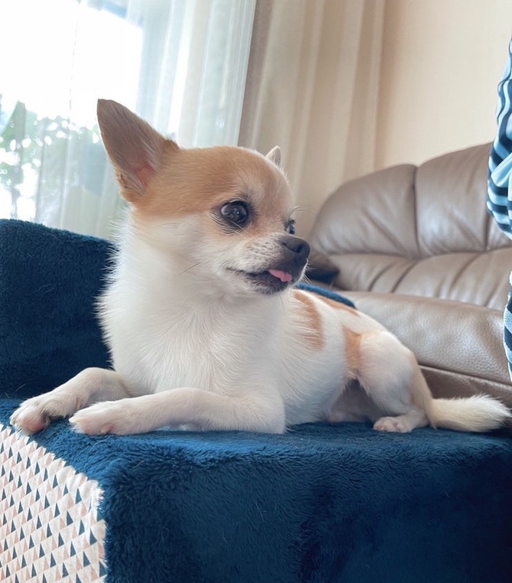  오월의 두 번째 일기