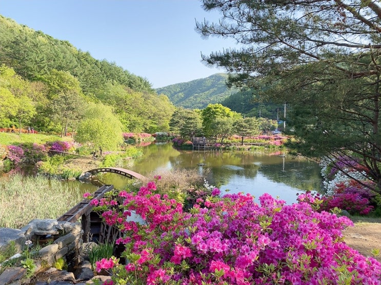  블챌 오늘일기 #2 진천 만뢰산 자연생태공원 자연을 느끼는 시간