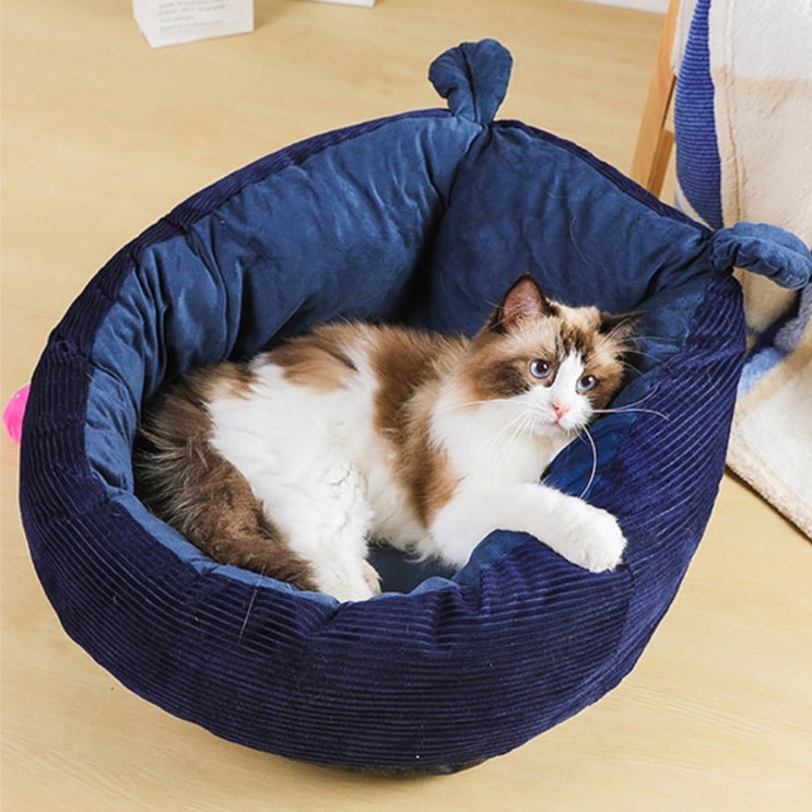 가성비 뛰어난 파스텔펫 냥이 꿀잠 마약 쿠션방석, 네이비 추천합니다 가성비 뛰어난 파스텔펫 냥이 꿀잠 마약 쿠션방석, 네이비 추천합니다