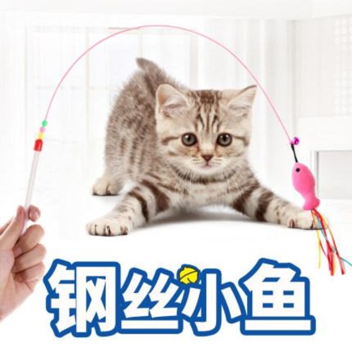 당신만 모르는 캣휠 고양이먹이퍼즐 레이저장난감 캣니스 스틱 캣민트 와이어 피쉬, 01 와이어피쉬(단송 소리 생쥐 소장) 추천합니다