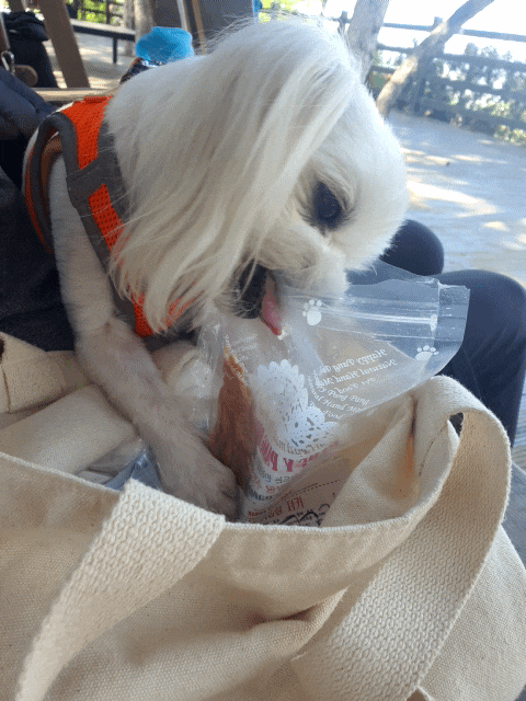  21.05.02구찌와눈누일상
