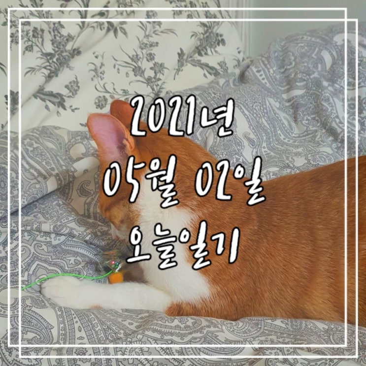  2021년 5월 2일