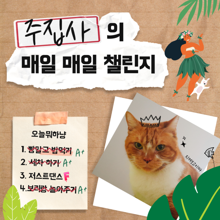  저스트 댄스는 다이어트에 도움을 줄까