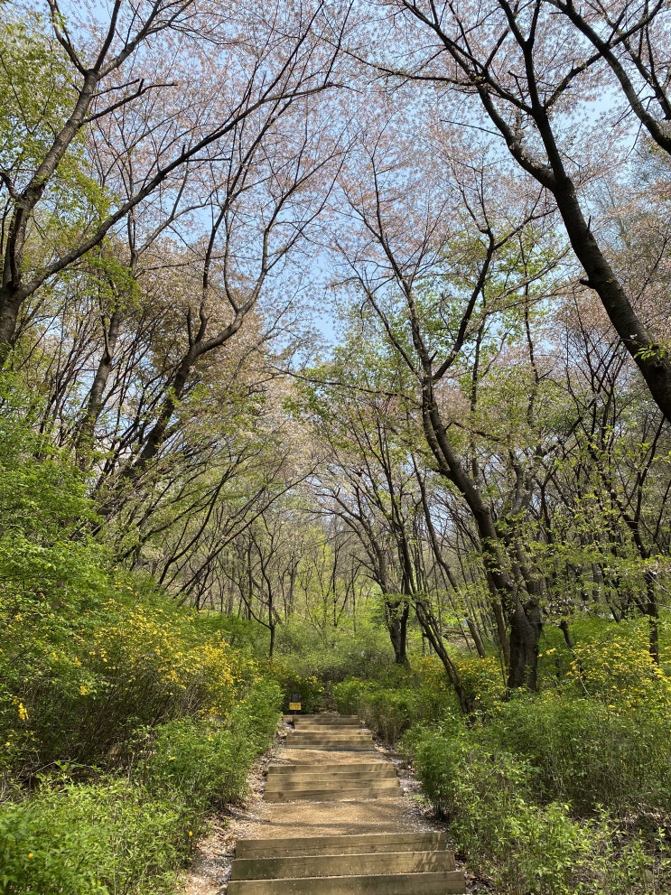  블챌 오늘일기 2편. 어버이날과 내 안경
