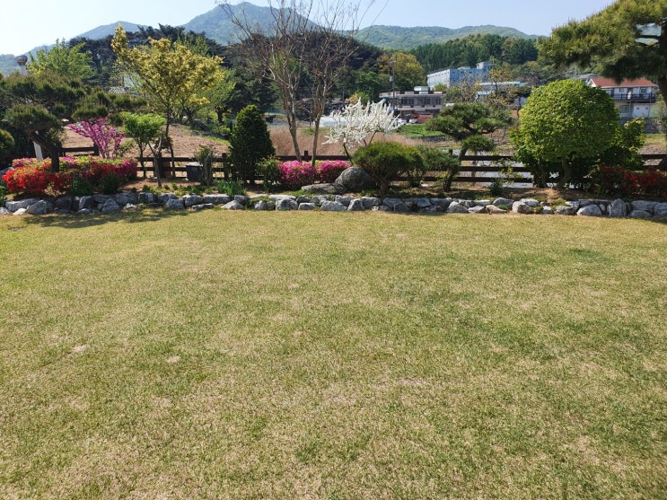  강화도 풀빌라 숙소 에어비앤비, 추천  3대가  함께한 여행