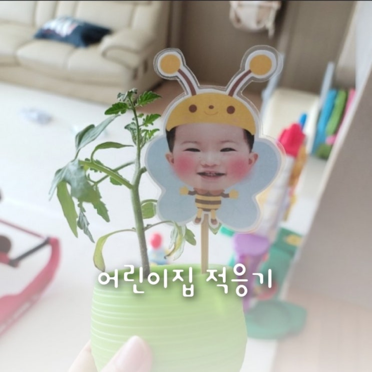 생후12개월 어린이집 일상생활 기록(4일간의 적응 일지) 생후12개월 어린이집 일상생활 기록(4일간의 적응 일지)