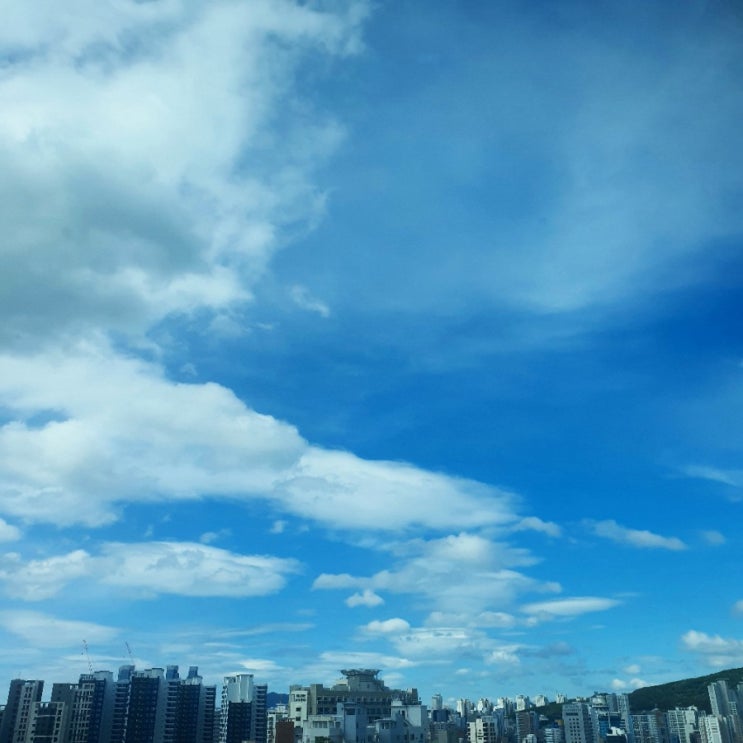  블로그 챌린지_ 오늘일기 2days :D 존밤되세요.